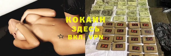 сатива Алексин