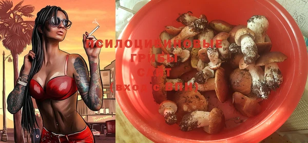 твердый Абаза