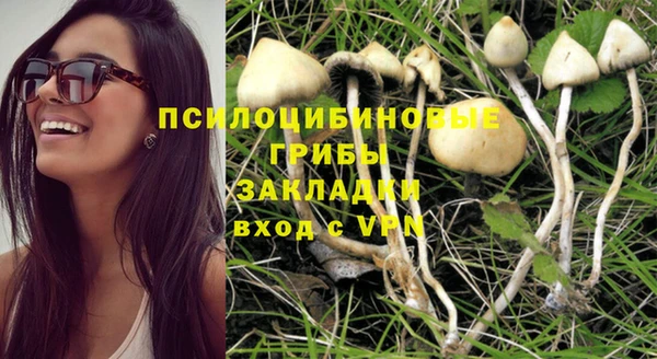 МДПВ Абинск