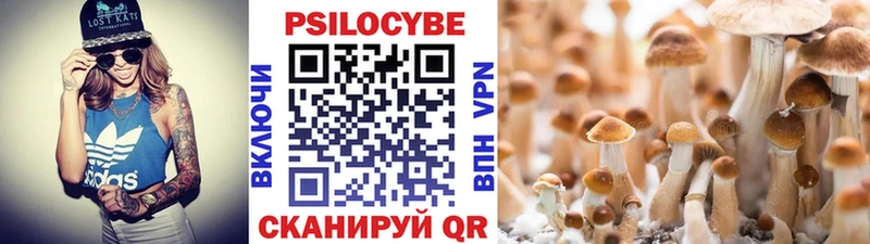 shop клад  Нальчик  Псилоцибиновые грибы ЛСД 