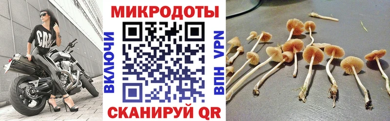 Галлюциногенные грибы мухоморы Нальчик