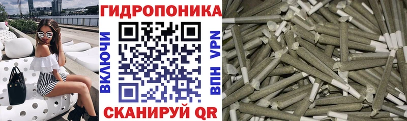 Канабис план Нальчик